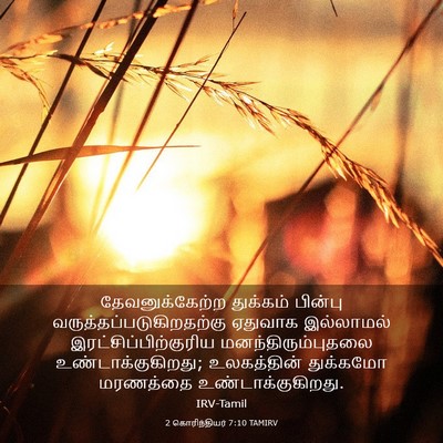 Picture 03 - 2 கொரிந்தியர் 7:10 TAMIRV - தேவனுக்கேற்ற - Bible Verse Picture