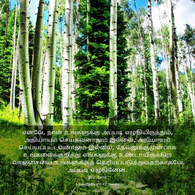 Picture 03 - 2 கொரிந்தியர் 7:12 TAMIRV - எனவே, நான் - Bible Verse Picture