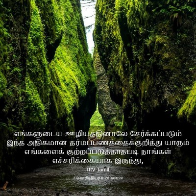 Picture 03 - 2 கொரிந்தியர் 8:20 TAMIRV - எங்களுடைய - Bible Verse Picture
