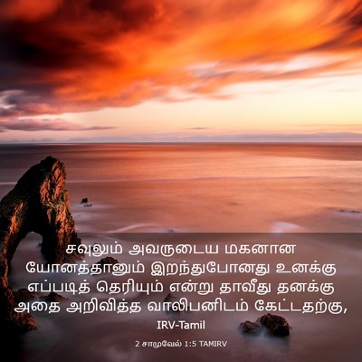 Picture 03 - 2 சாமுவேல் 1:5 TAMIRV - சவுலும் அவருடைய - Bible Verse Picture