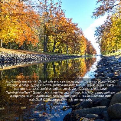 Picture 03 - 2 சாமுவேல் 10:3 TAMIRV - அம்மோன் மக்களின் - Bible Verse Picture