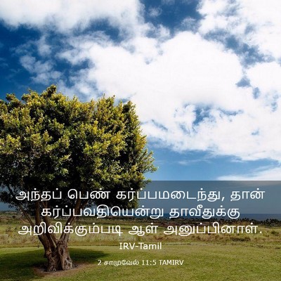 Picture 03 - 2 சாமுவேல் 11:5 TAMIRV - அந்தப் பெண் - Bible Verse Picture