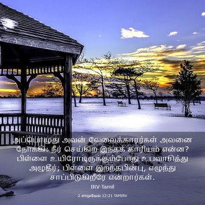 Picture 03 - 2 சாமுவேல் 12:21 TAMIRV - அப்பொழுது அவன் - Bible Verse Picture