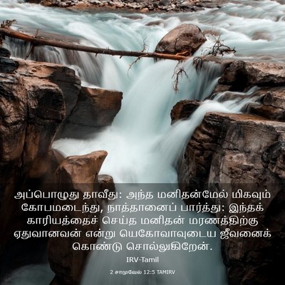 Picture 03 - 2 சாமுவேல் 12:5 TAMIRV - அப்பொழுது தாவீது: - Bible Verse Picture