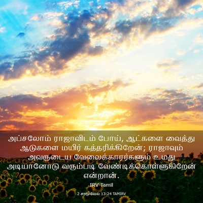 Picture 03 - 2 சாமுவேல் 13:24 TAMIRV - அப்சலோம் - Bible Verse Picture