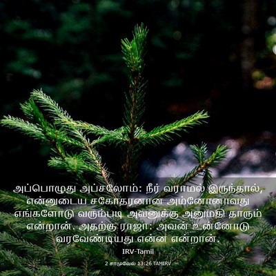 Picture 03 - 2 சாமுவேல் 13:26 TAMIRV - அப்பொழுது - Bible Verse Picture