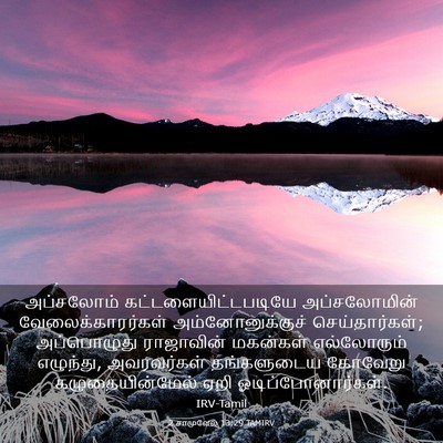 Picture 03 - 2 சாமுவேல் 13:29 TAMIRV - அப்சலோம் - Bible Verse Picture