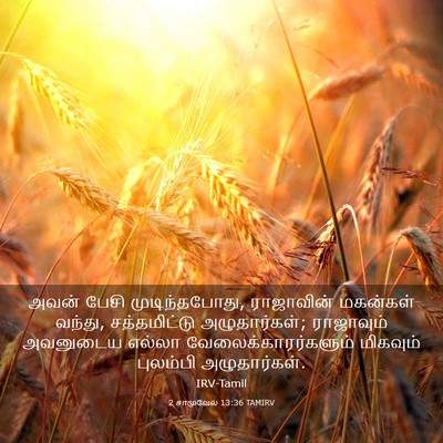 Picture 03 - 2 சாமுவேல் 13:36 TAMIRV - அவன் பேசி - Bible Verse Picture