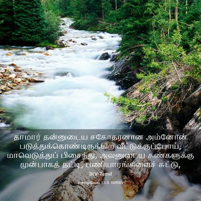 Picture 03 - 2 சாமுவேல் 13:8 TAMIRV - தாமார் தன்னுடைய - Bible Verse Picture