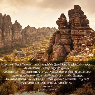Picture 03 - 2 சாமுவேல் 14:2 TAMIRV - அவன் தெக்கோவா - Bible Verse Picture