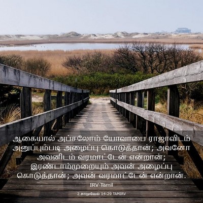 Picture 03 - 2 சாமுவேல் 14:29 TAMIRV - ஆகையால் அப்சலோம் - Bible Verse Picture