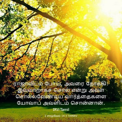 Picture 03 - 2 சாமுவேல் 14:3 TAMIRV - ராஜாவிடம் போய், - Bible Verse Picture