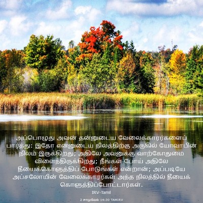 Picture 03 - 2 சாமுவேல் 14:30 TAMIRV - அப்பொழுது அவன் - Bible Verse Picture