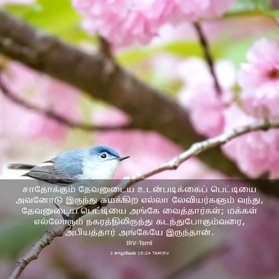 Picture 03 - 2 சாமுவேல் 15:24 TAMIRV - சாதோக்கும் - Bible Verse Picture
