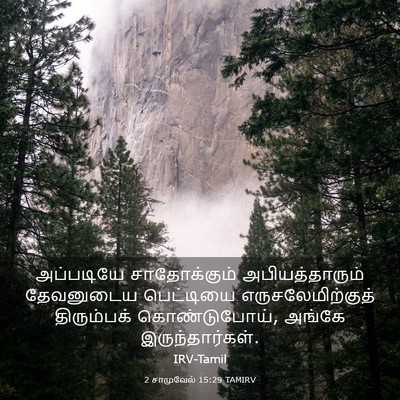 Picture 03 - 2 சாமுவேல் 15:29 TAMIRV - அப்படியே - Bible Verse Picture