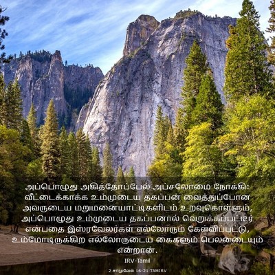 Picture 03 - 2 சாமுவேல் 16:21 TAMIRV - அப்பொழுது - Bible Verse Picture