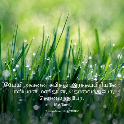 Picture 03 - 2 சாமுவேல் 16:7 TAMIRV - சீமேயி அவனை - Bible Verse Picture