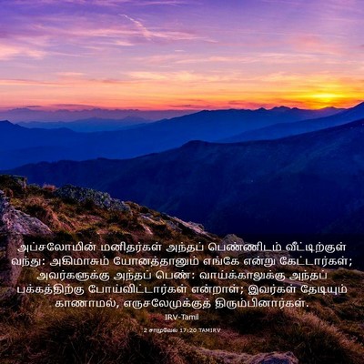 Picture 03 - 2 சாமுவேல் 17:20 TAMIRV - அப்சலோமின் - Bible Verse Picture