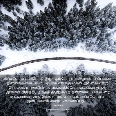 Picture 03 - 2 சாமுவேல் 18:18 TAMIRV - அப்சலோம் உயிரோடு - Bible Verse Picture