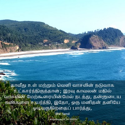 Picture 03 - 2 சாமுவேல் 18:24 TAMIRV - தாவீது உள் - Bible Verse Picture