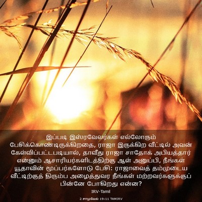 Picture 03 - 2 சாமுவேல் 19:11 TAMIRV - இப்படி - Bible Verse Picture