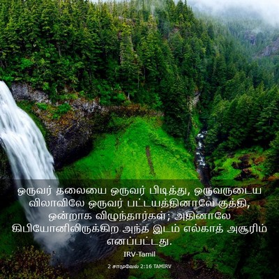 Picture 03 - 2 சாமுவேல் 2:16 TAMIRV - ஒருவர் தலையை - Bible Verse Picture