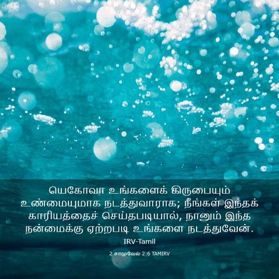 Picture 03 - 2 சாமுவேல் 2:6 TAMIRV - யெகோவா உங்களைக் - Bible Verse Picture