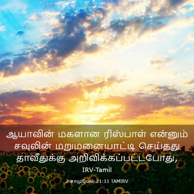 Picture 03 - 2 சாமுவேல் 21:11 TAMIRV - ஆயாவின் மகளான - Bible Verse Picture