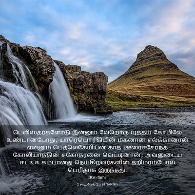 Picture 03 - 2 சாமுவேல் 21:19 TAMIRV - பெலிஸ்தர்களோடு - Bible Verse Picture