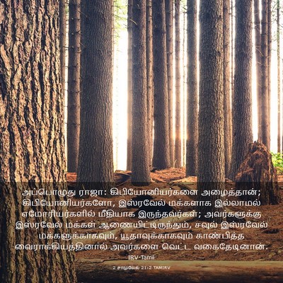 Picture 03 - 2 சாமுவேல் 21:2 TAMIRV - அப்பொழுது ராஜா: - Bible Verse Picture
