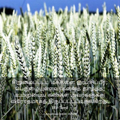 Picture 03 - 2 சாமுவேல் 22:28 TAMIRV - சிறுமைப்பட்ட - Bible Verse Picture