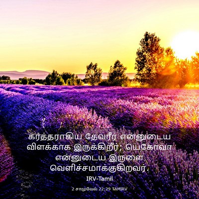 Picture 03 - 2 சாமுவேல் 22:29 TAMIRV - கர்த்தராகிய - Bible Verse Picture