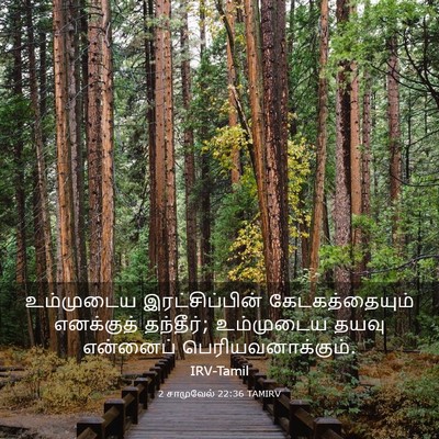 Picture 03 - 2 சாமுவேல் 22:36 TAMIRV - உம்முடைய - Bible Verse Picture