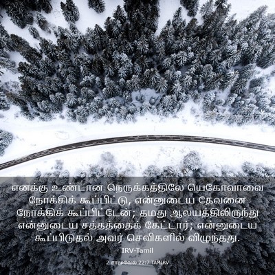 Picture 03 - 2 சாமுவேல் 22:7 TAMIRV - எனக்கு உண்டான - Bible Verse Picture