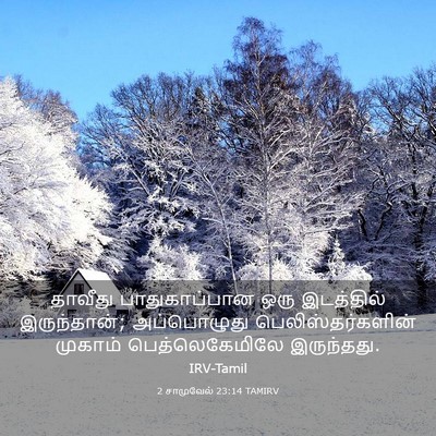 Picture 03 - 2 சாமுவேல் 23:14 TAMIRV - தாவீது - Bible Verse Picture