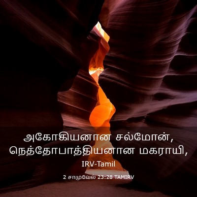 Picture 03 - 2 சாமுவேல் 23:28 TAMIRV - அகோகியனான - Bible Verse Picture