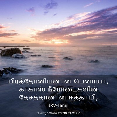 Picture 03 - 2 சாமுவேல் 23:30 TAMIRV - பிரத்தோனியனான - Bible Verse Picture