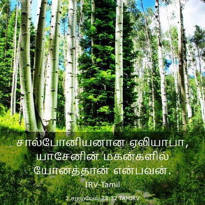 Picture 03 - 2 சாமுவேல் 23:32 TAMIRV - சால்போனியனான - Bible Verse Picture
