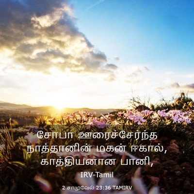 Picture 03 - 2 சாமுவேல் 23:36 TAMIRV - சோபா ஊரைச்சேர்ந்த - Bible Verse Picture