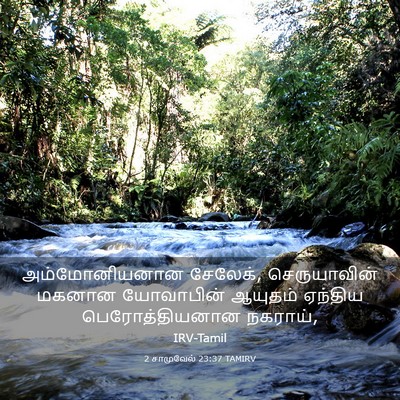 Picture 03 - 2 சாமுவேல் 23:37 TAMIRV - அம்மோனியனான - Bible Verse Picture