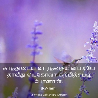 Picture 03 - 2 சாமுவேல் 24:19 TAMIRV - காத்துடைய - Bible Verse Picture