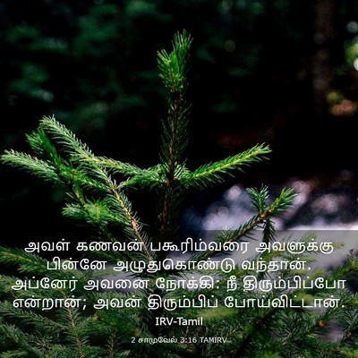 Picture 03 - 2 சாமுவேல் 3:16 TAMIRV - அவள் கணவன் - Bible Verse Picture