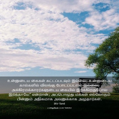 Picture 03 - 2 சாமுவேல் 3:34 TAMIRV - உன்னுடைய கைகள் - Bible Verse Picture