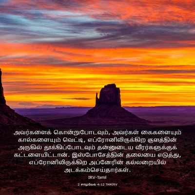 Picture 03 - 2 சாமுவேல் 4:12 TAMIRV - அவர்களைக் - Bible Verse Picture