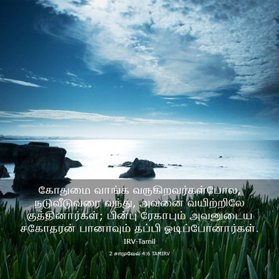 Picture 03 - 2 சாமுவேல் 4:6 TAMIRV - கோதுமை வாங்க - Bible Verse Picture