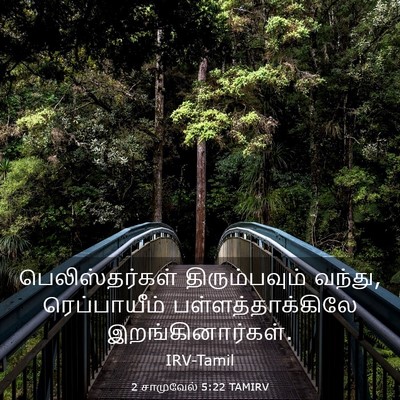 Picture 03 - 2 சாமுவேல் 5:22 TAMIRV - பெலிஸ்தர்கள் - Bible Verse Picture