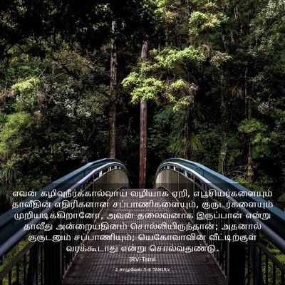 Picture 03 - 2 சாமுவேல் 5:8 TAMIRV - எவன் - Bible Verse Picture