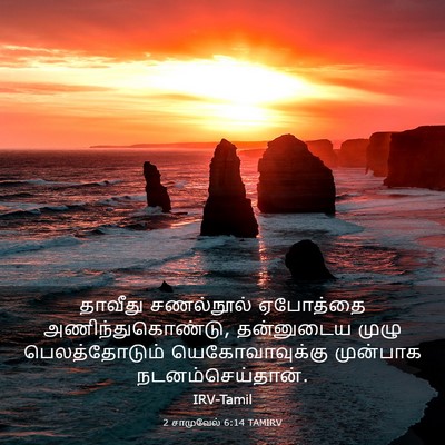 Picture 03 - 2 சாமுவேல் 6:14 TAMIRV - தாவீது சணல்நூல் - Bible Verse Picture
