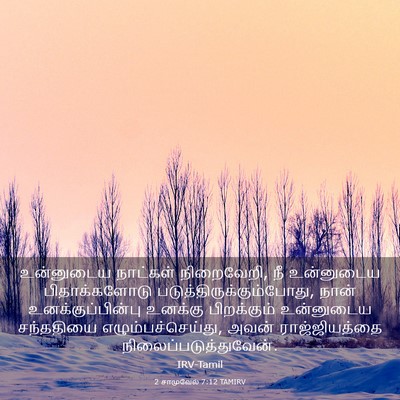 Picture 03 - 2 சாமுவேல் 7:12 TAMIRV - உன்னுடைய நாட்கள் - Bible Verse Picture