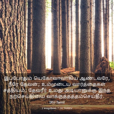 Picture 03 - 2 சாமுவேல் 7:28 TAMIRV - இப்போதும் - Bible Verse Picture